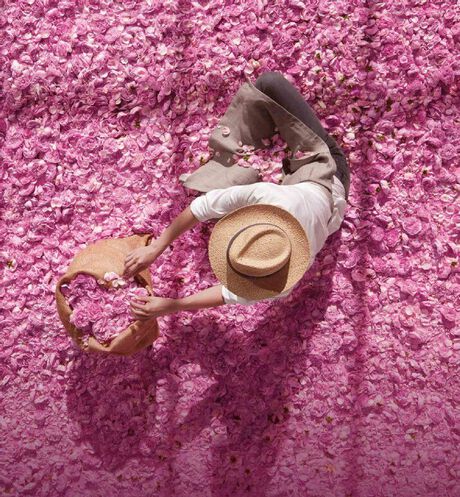 Dior - Miss Dior Huile de Rose Fraîche Huile pour le corps - 3 Ouverture de la galerie d'images
