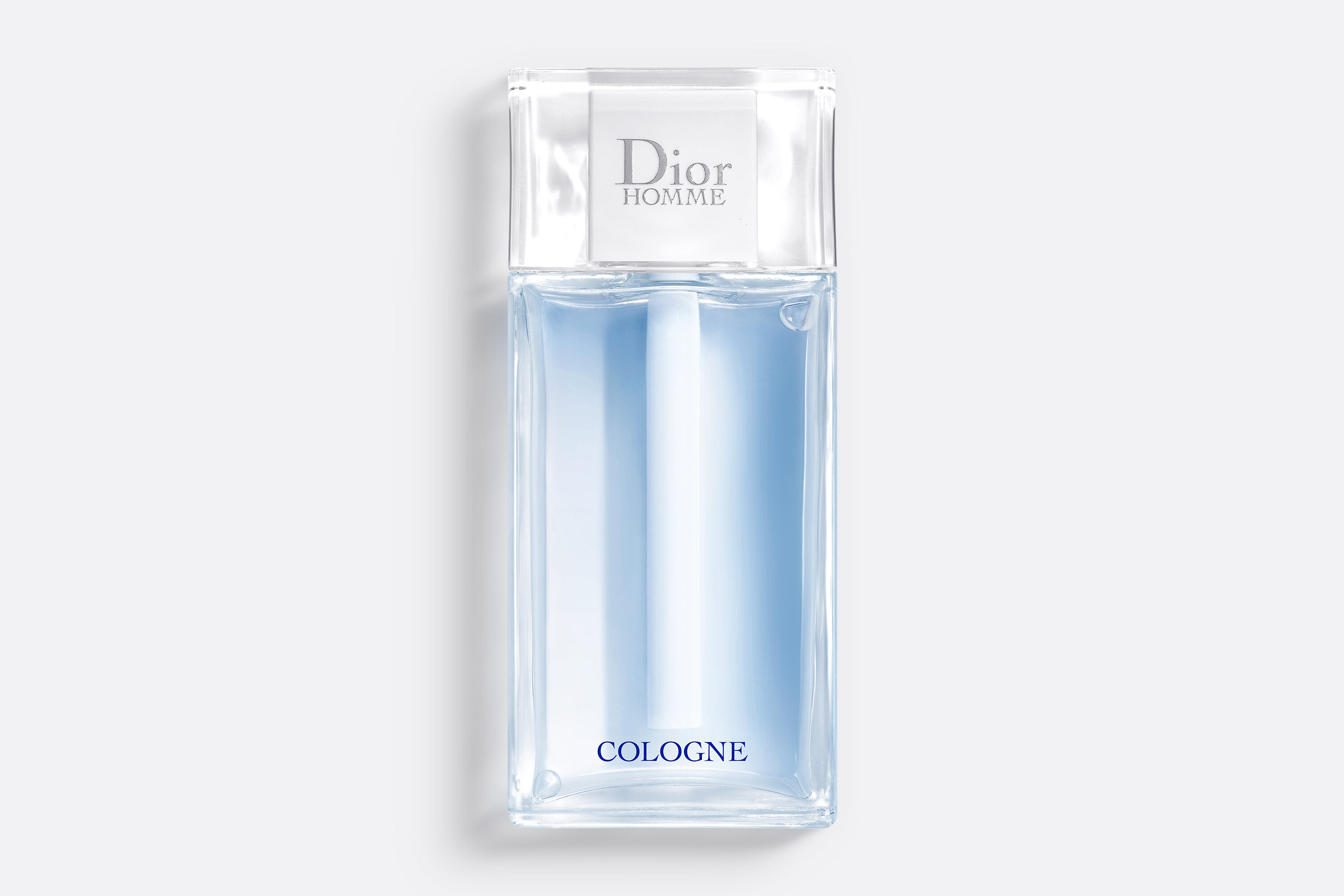 Dior Homme Parfum the noble woody fragrance wrapped in leather  DIOR