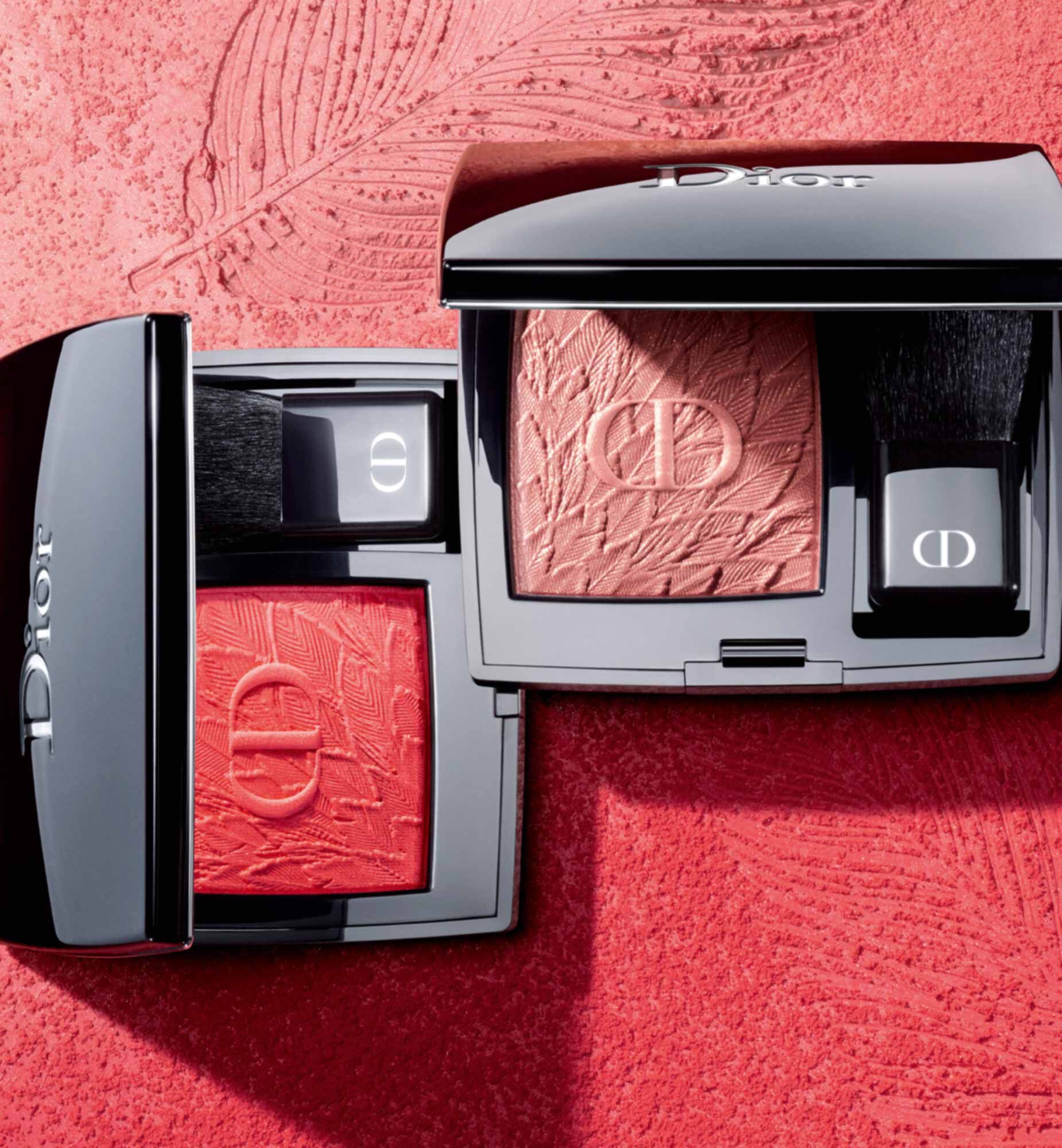 Swatches of the new dior rouge blushesTikTok Search