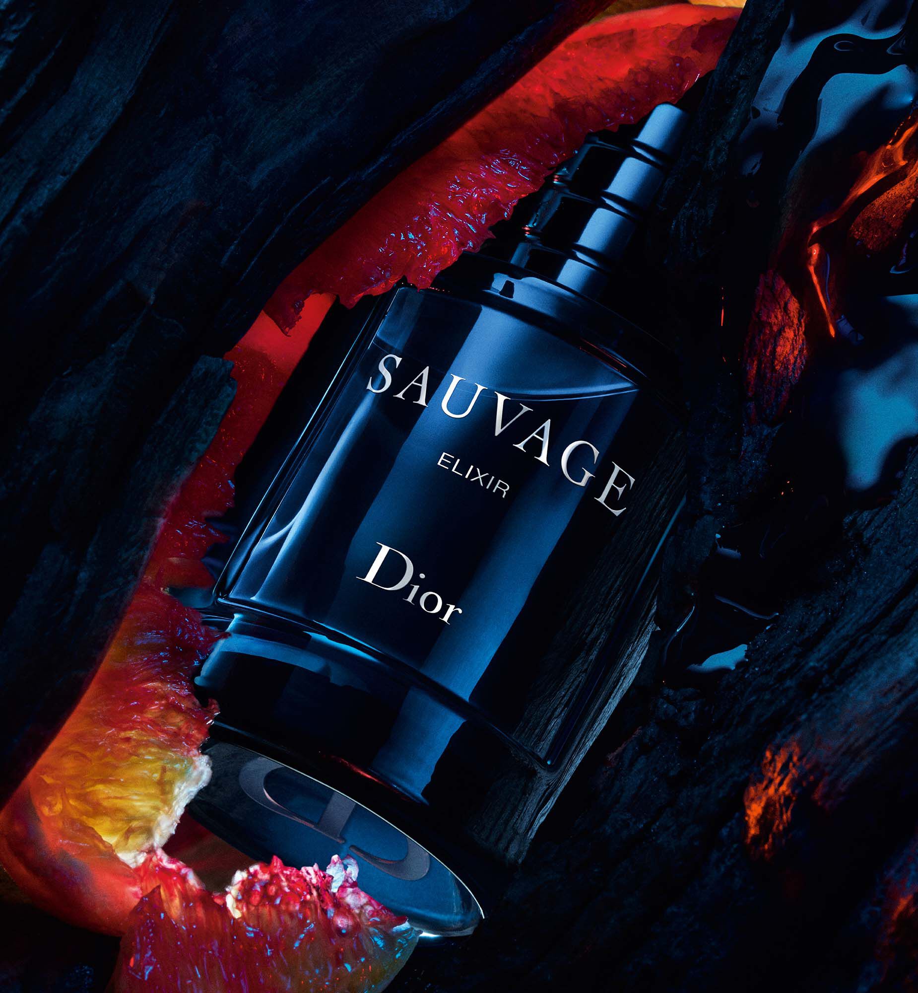 Dior sauvage notas best sale