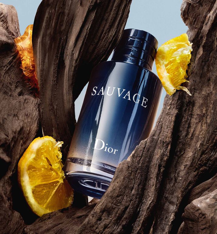 DIOR ソヴァージュ リフィル (オードゥ トワレ) フレグランス