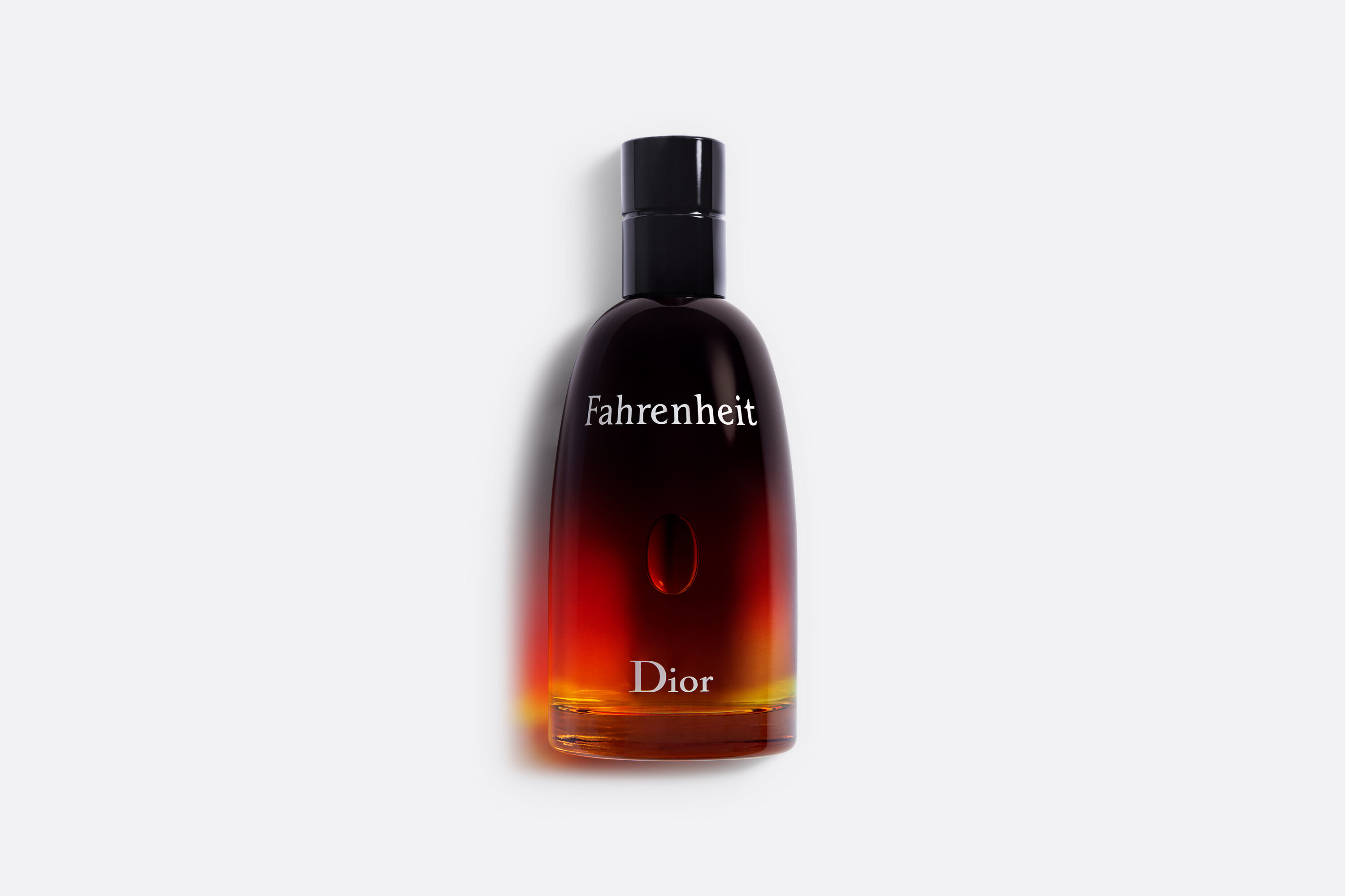 gemakkelijk Pigment medeklinker Fahrenheit Eau de Toilette - Men's Fragrance | DIOR