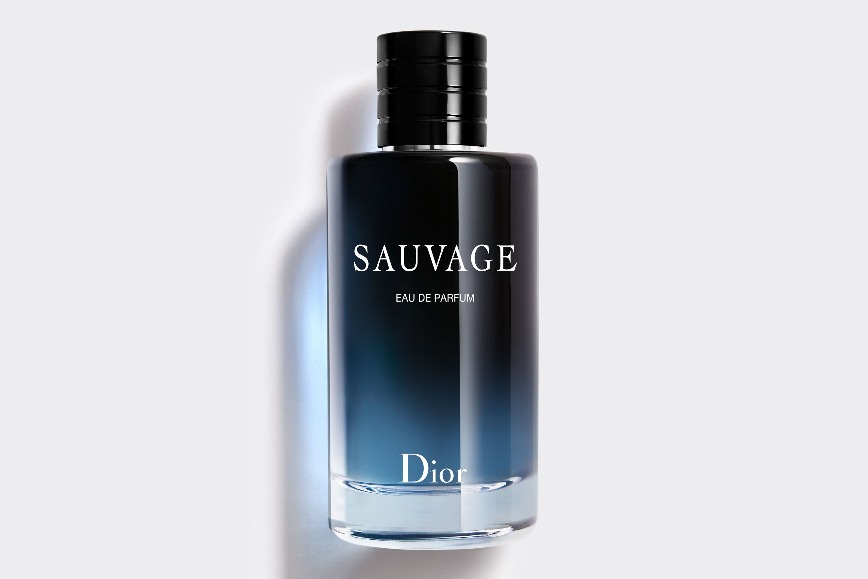 Sauvage Dior Eau De Parfum 100ml | art-kk.com