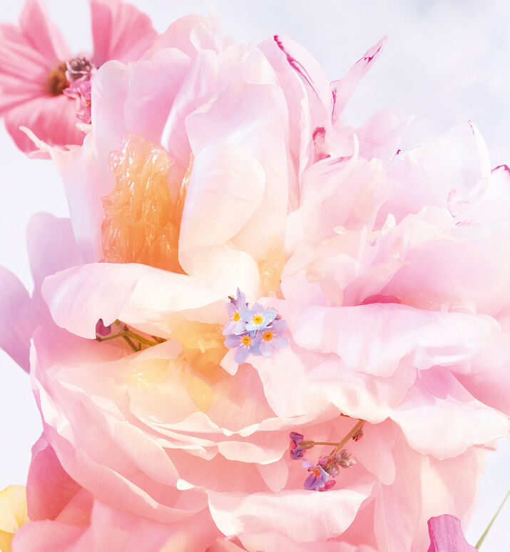 Miss Dior Bouquet: de Women's Perfume |