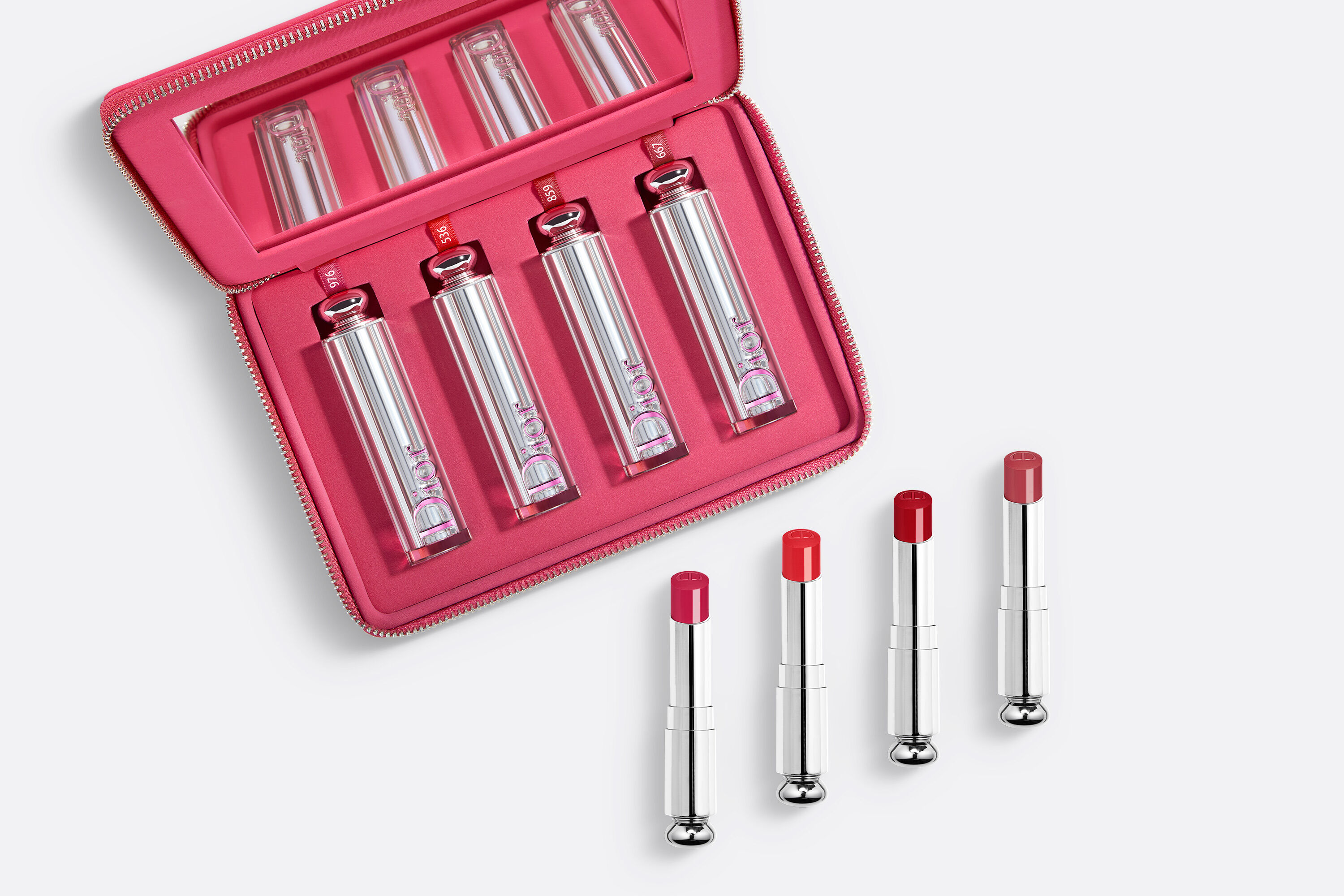 Dior Lipstick Case  Hook Set   SLG Organizer  Small Leather Goods  Organizer