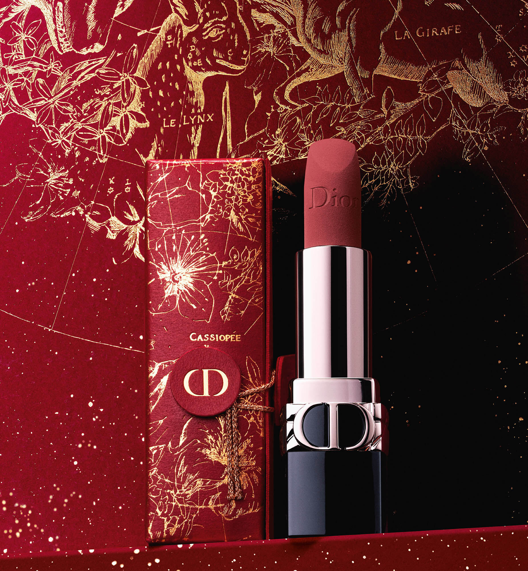 DIOR 5Pc Limited Edition Rouge Dior Lipstick Set  Macys