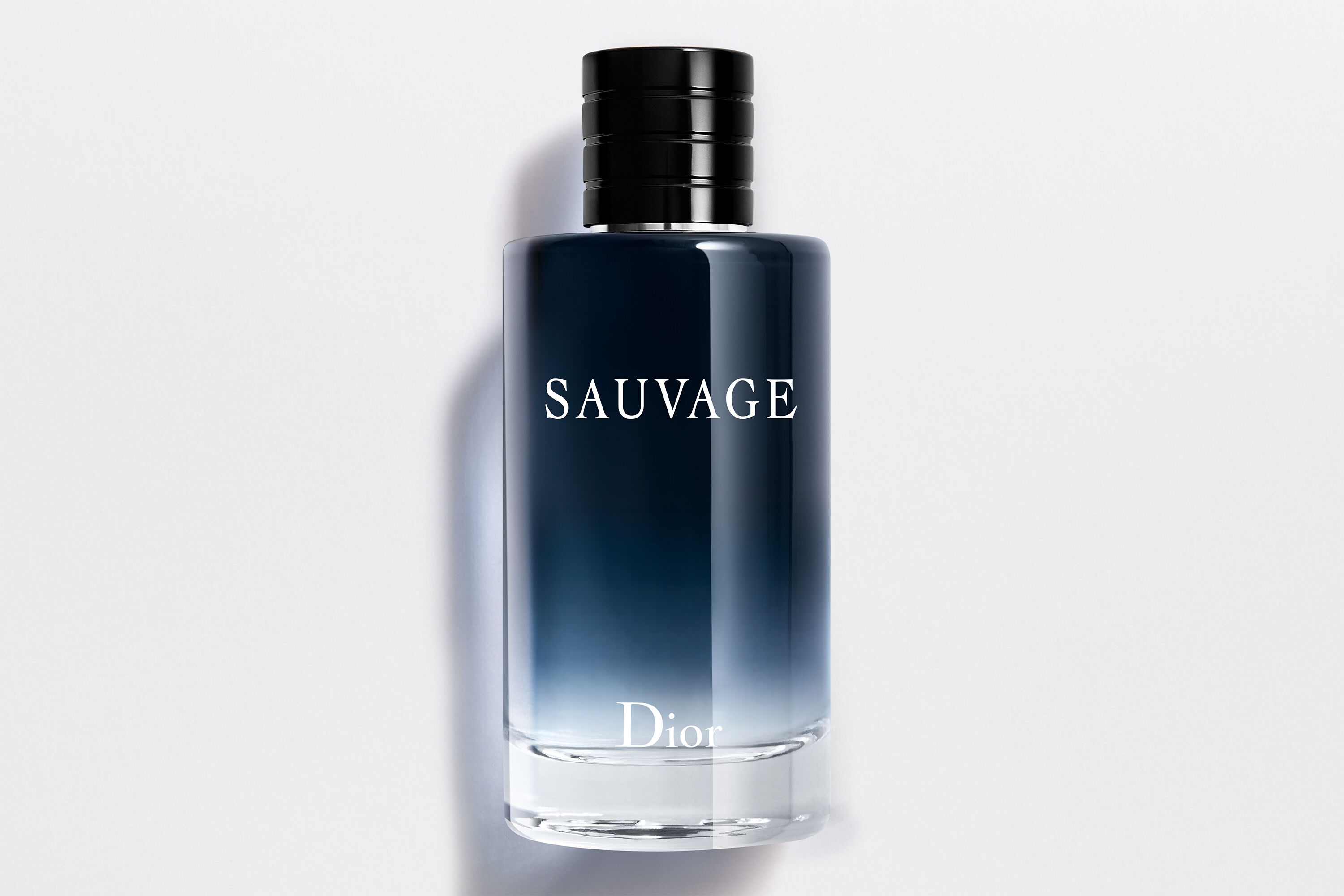 dior sauvage eau de perfume