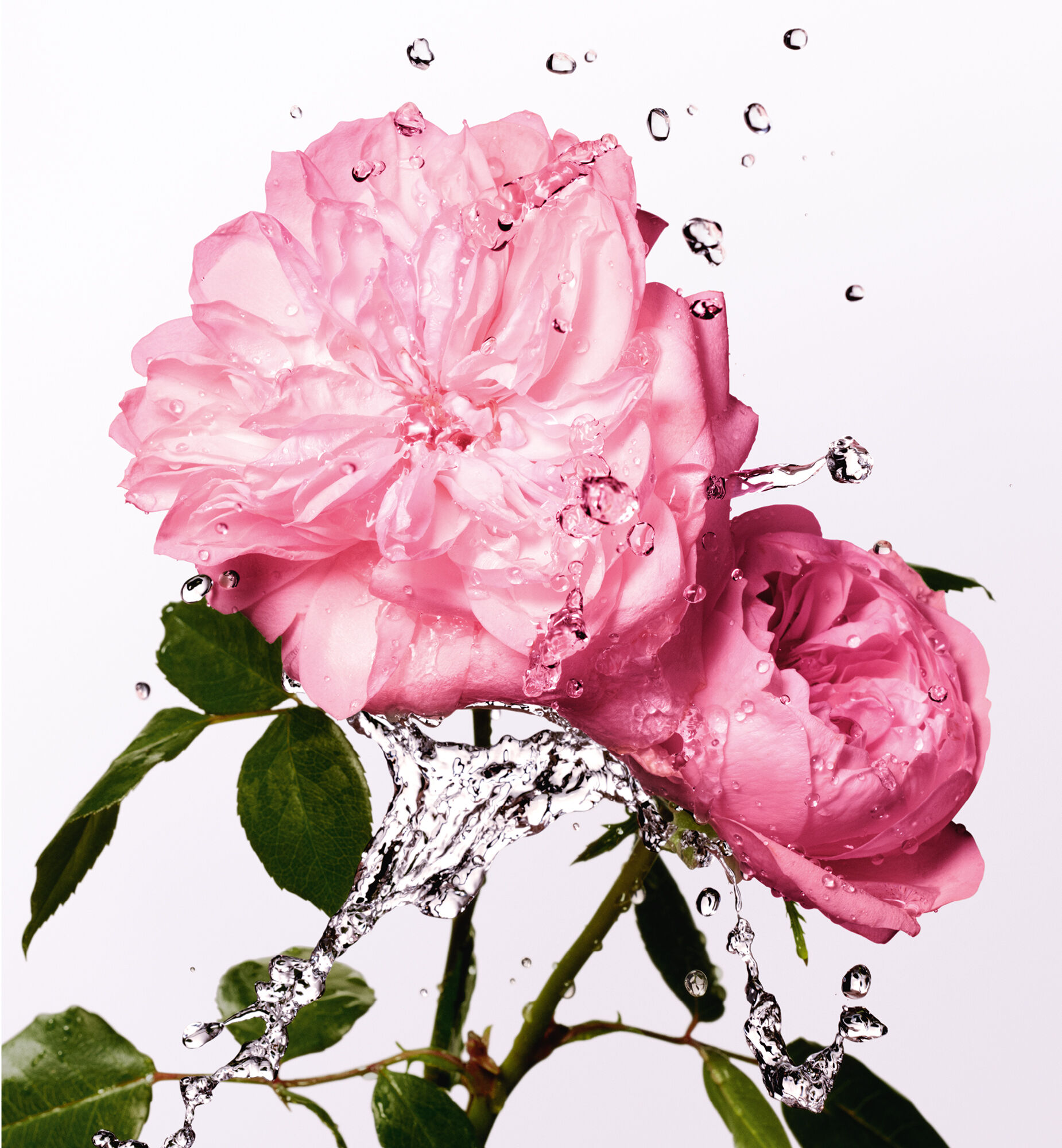 Miss Dior Rose Essence: Eau de Toilette Perfume Vintage | DIOR
