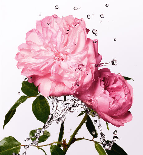 Dior - Miss Dior Rose Essence Eau de toilette - notes fraîches, florales et boisées - 4 Ouverture de la galerie d'images