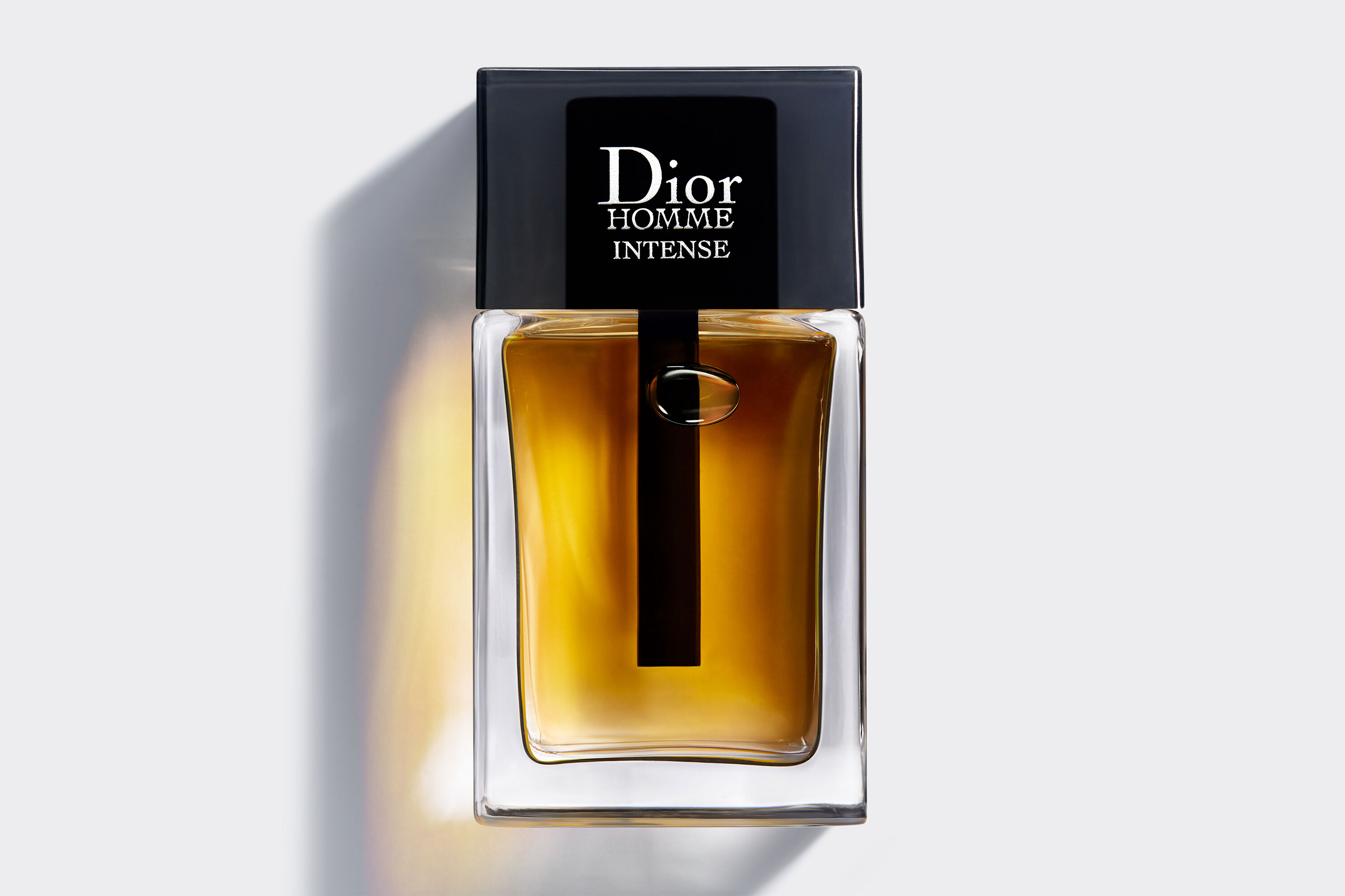 Dior Homme Intense ディオールオム インテンス 150ml | www.organicway.co.th