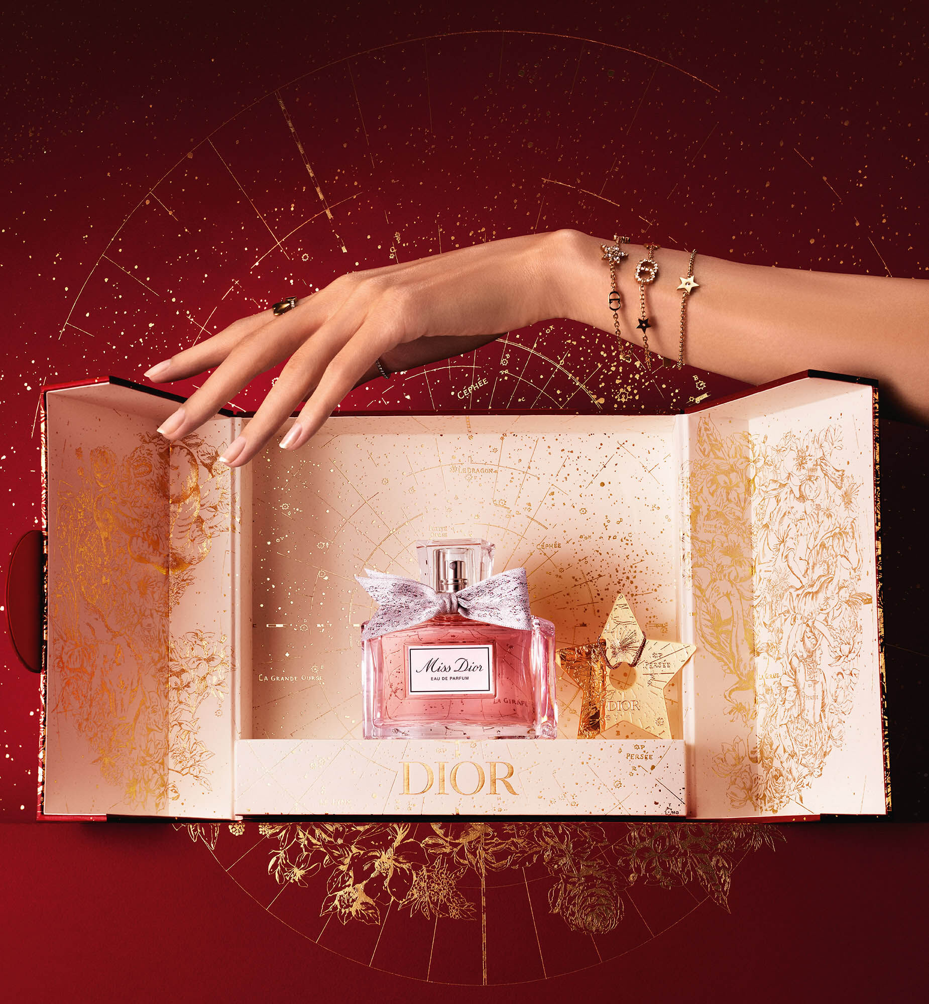 Rouge Dior Set 2023 Lunar New Year Limited Edition  DIOR