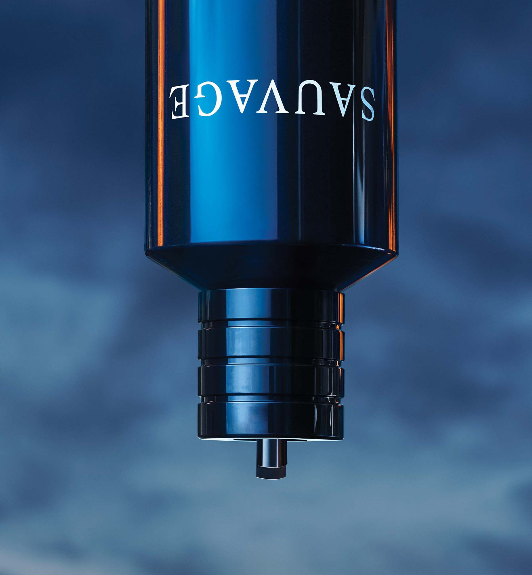 Notas best sale sauvage dior