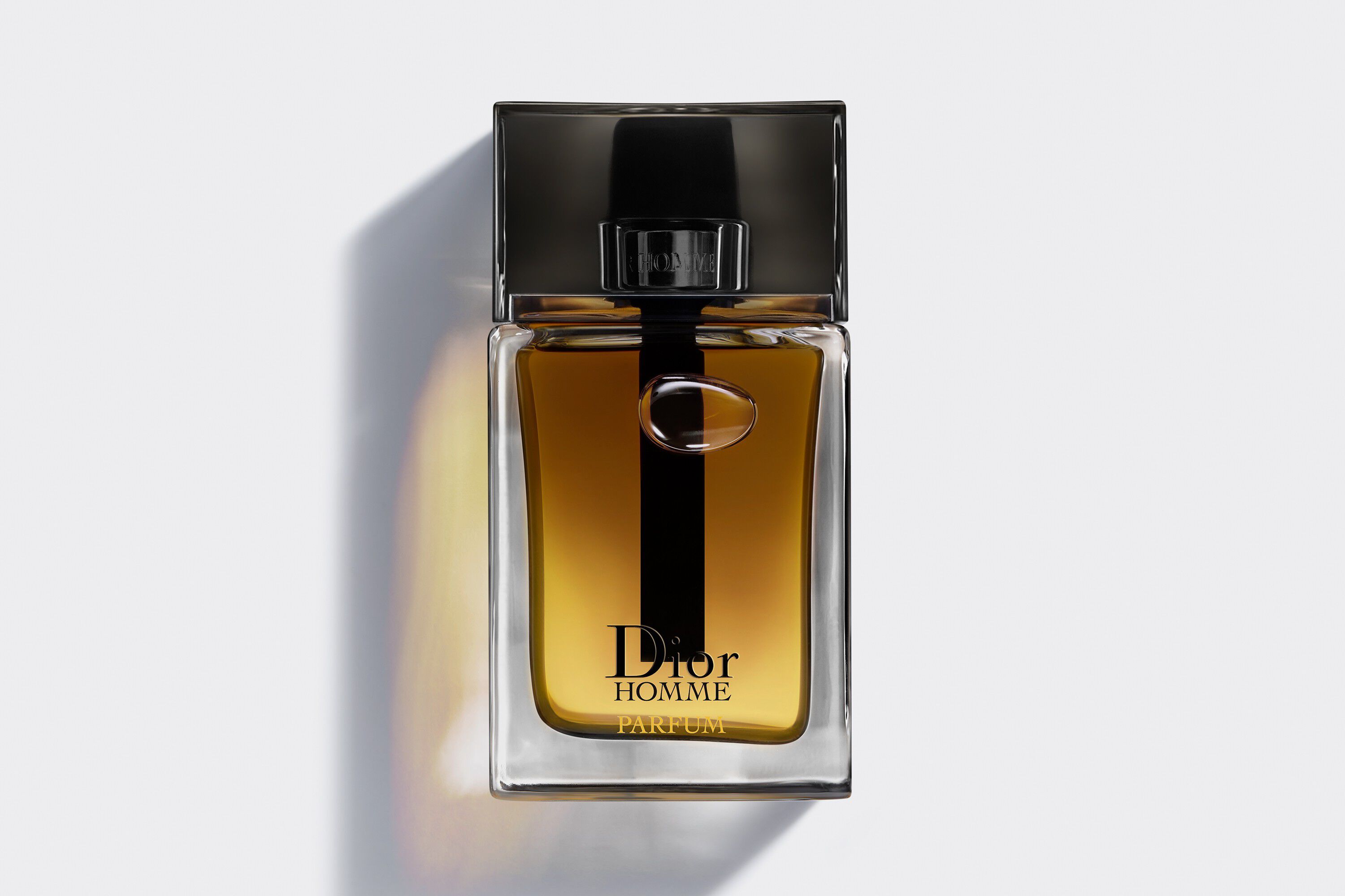 Reden Oude man Inzet Dior Homme Parfum: the noble woody fragrance wrapped in leather | DIOR