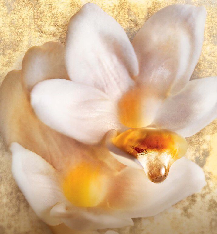 Dior chador parfum Clearance