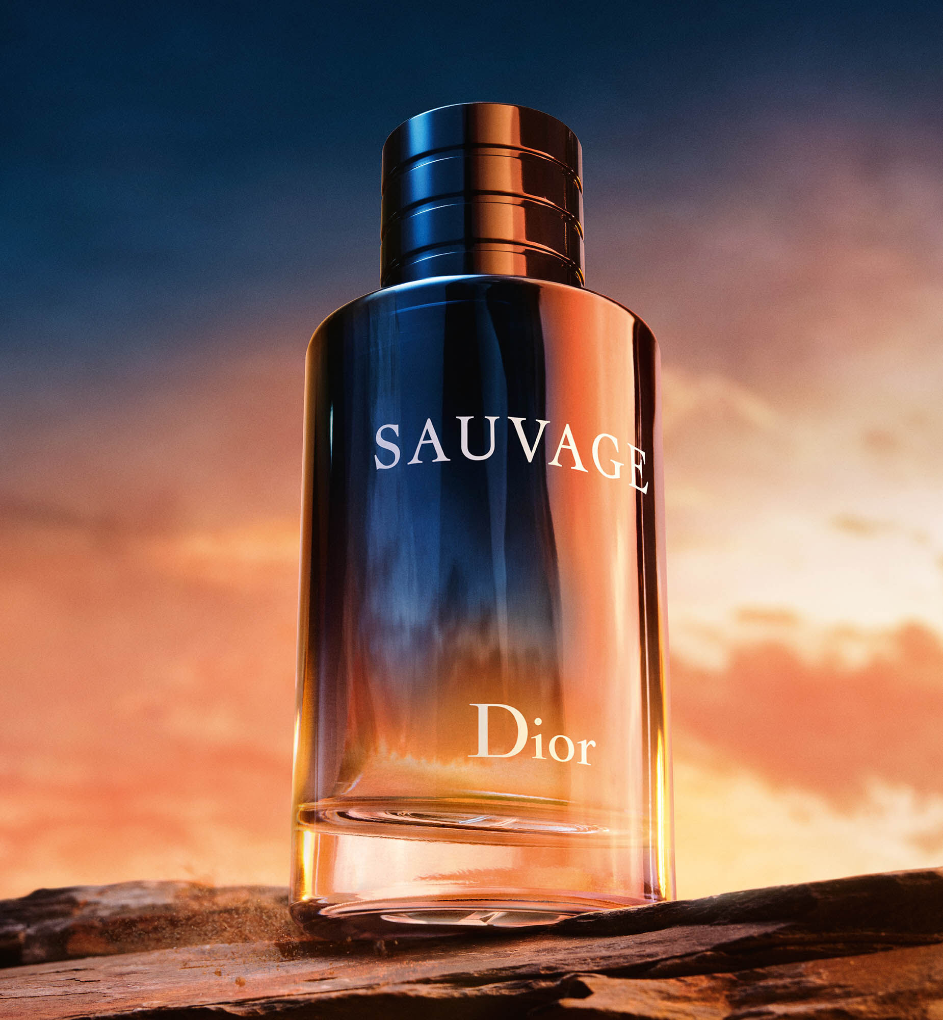 Sauvage Eau de Toilette: Iconic Dior Men's Fragrance | DIOR