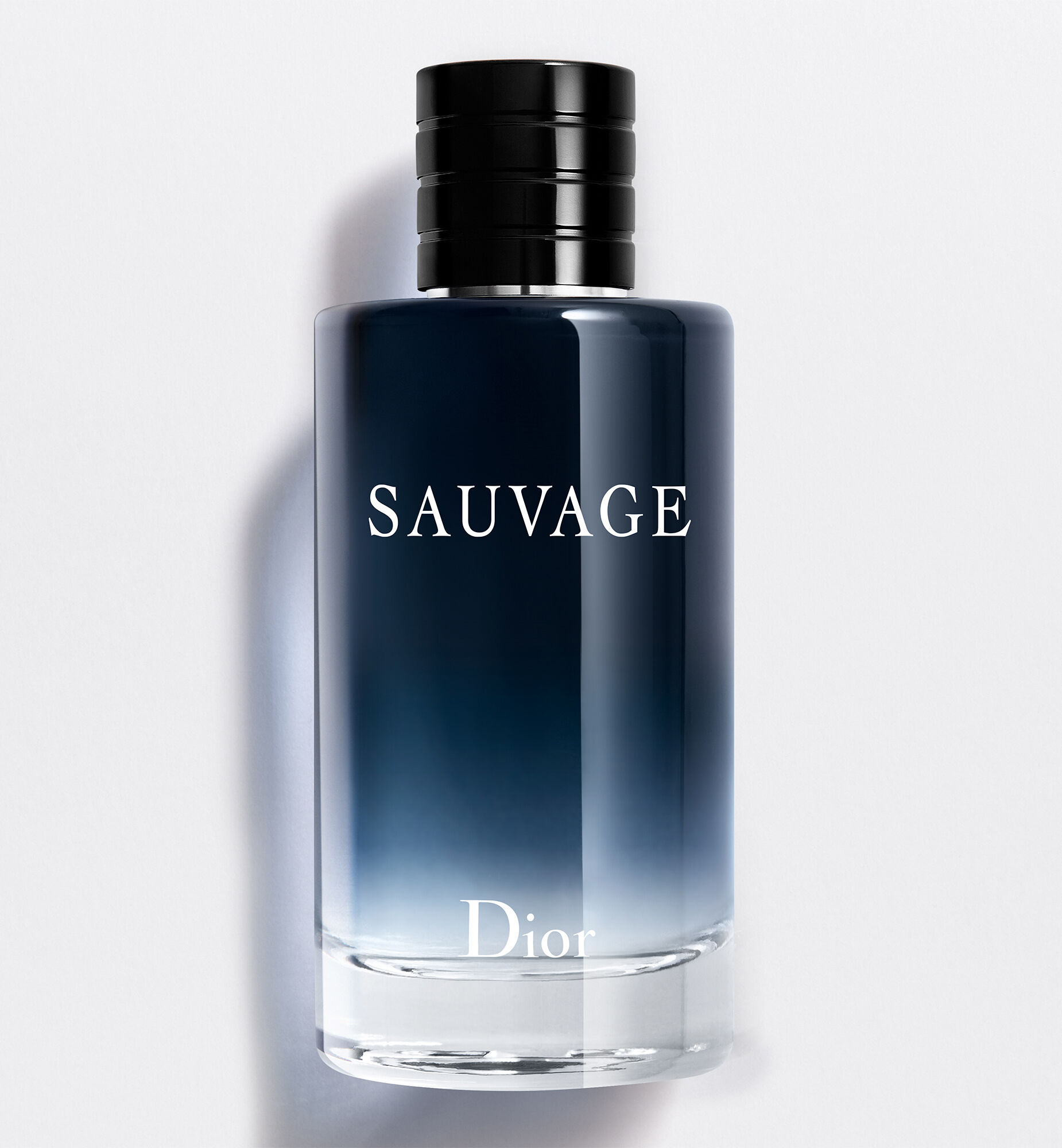 Sauvage Eau de Toilette for Men