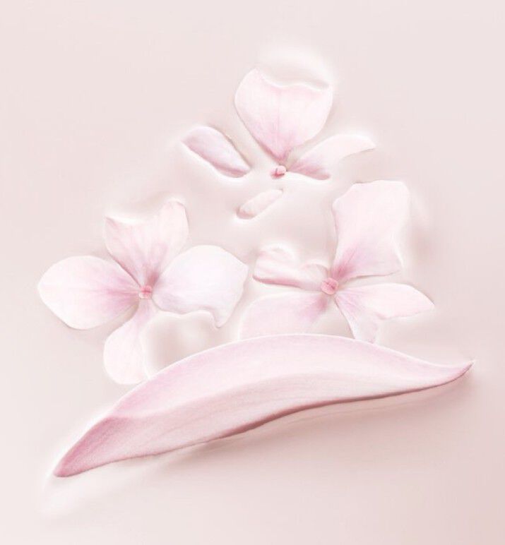 dreamskin fresh & perfect cushion