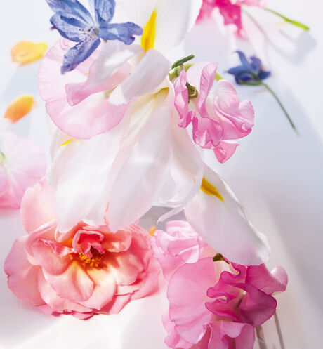 Dior - Miss Dior香氛 全新香氛–清新性感花香調 - 4 Open gallery