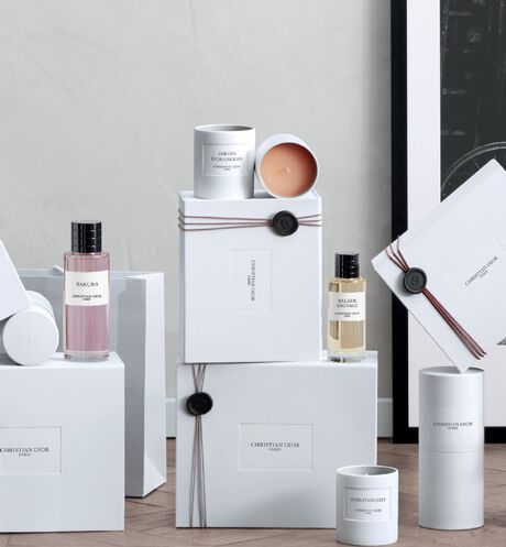 Dior - Balade Sauvage Parfum - 10 Ouverture de la galerie d'images