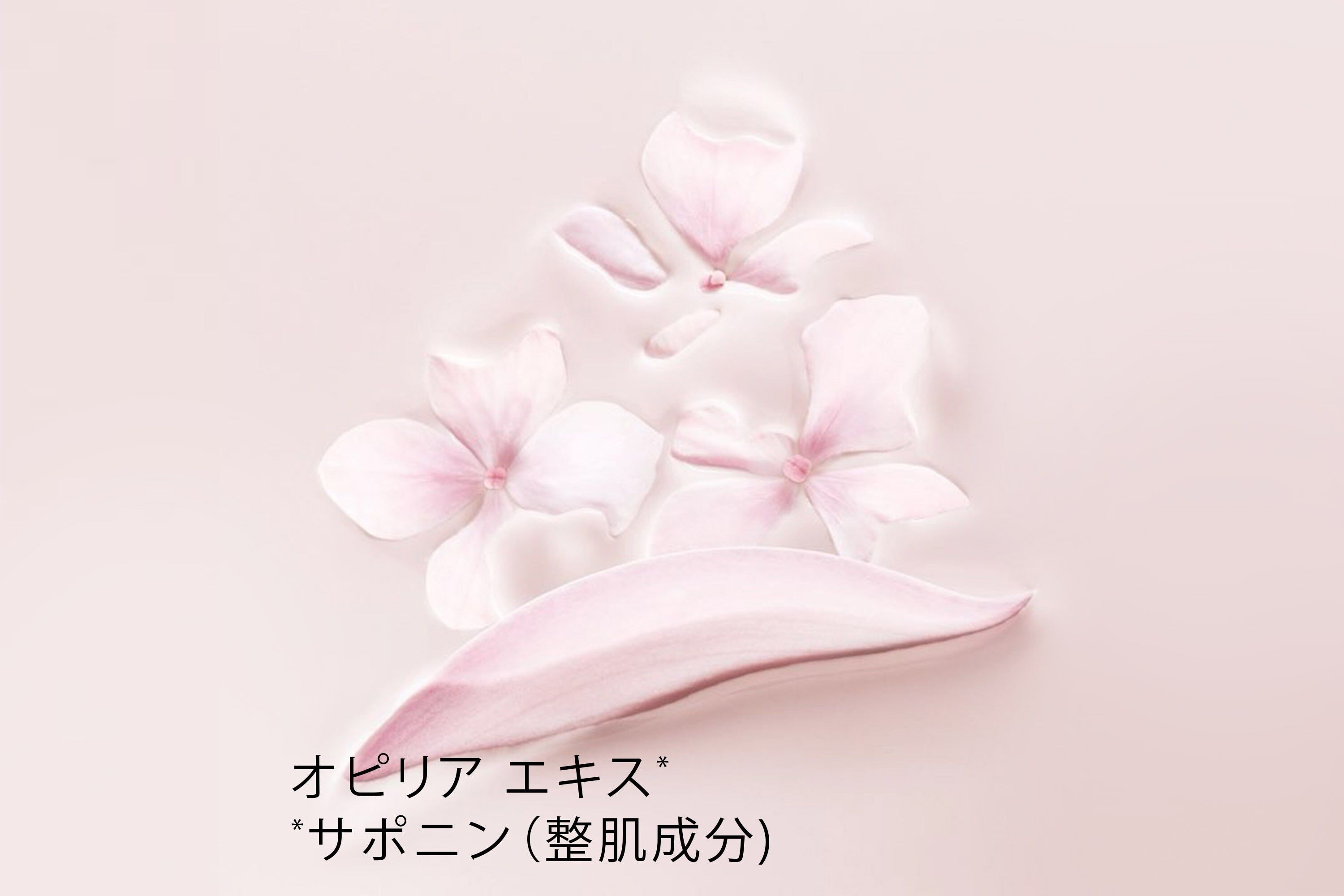 DIOR | カプチュール ドリームスキン モイスト クッション #000 SPF50 /PA+++ (本体＋リフィル付) - ファンデーション -  スキンケア