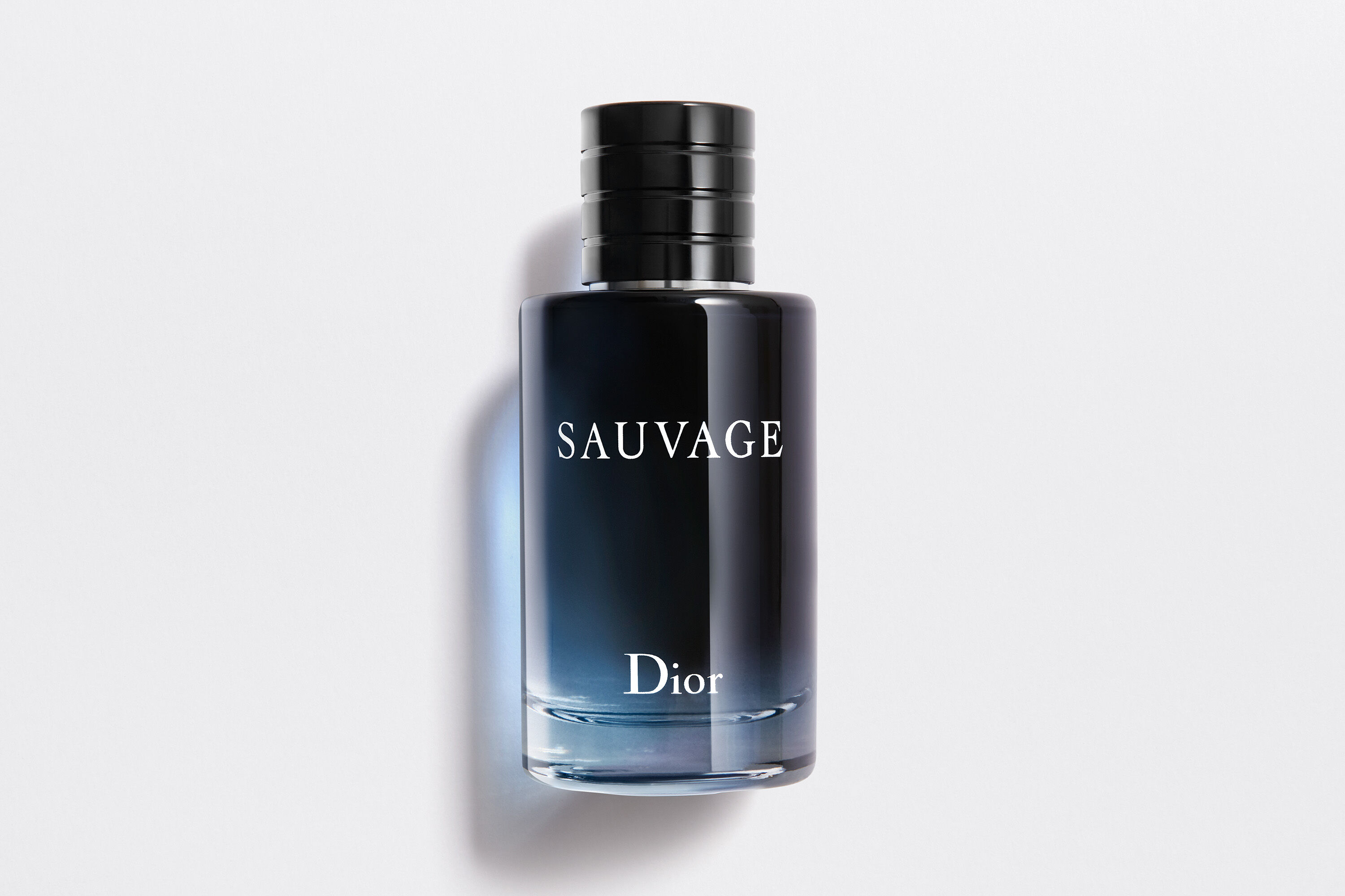 Dior SAUVAGE ソヴァージュ【60ml】-